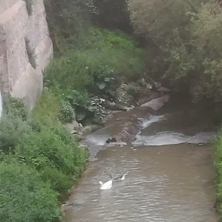 Byc Darro * Granada