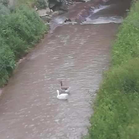 Byc Darro Lägenhet *
